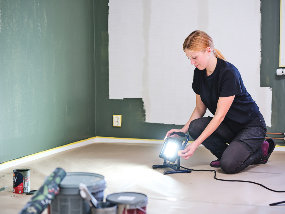 Rapid Projecteur de travail LED THE PAINTER+, 50W, bleu/noir