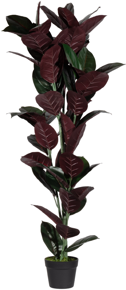 Plantes artificielles