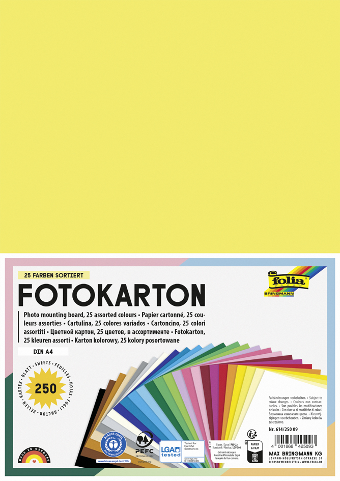 folia Carton de bricolage, A4, 300 g/m2, assorti