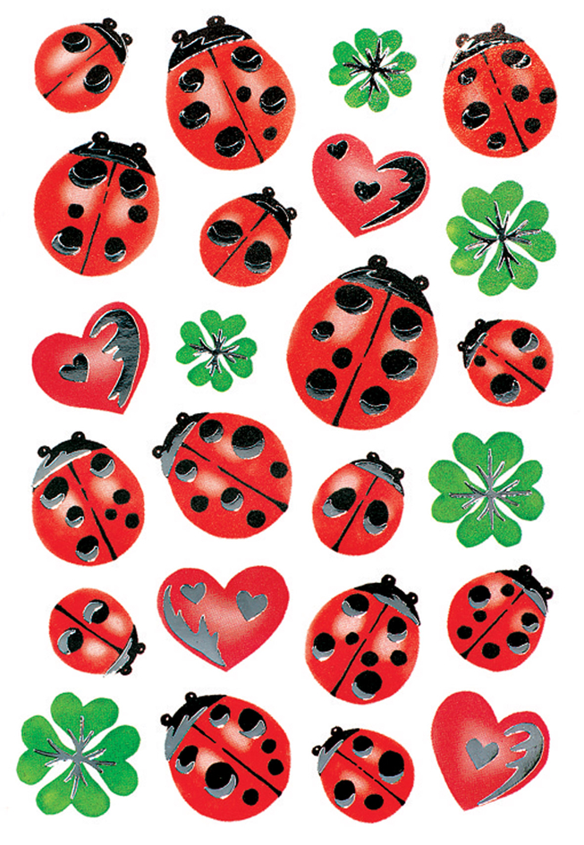 (1) Coccinelles argentées