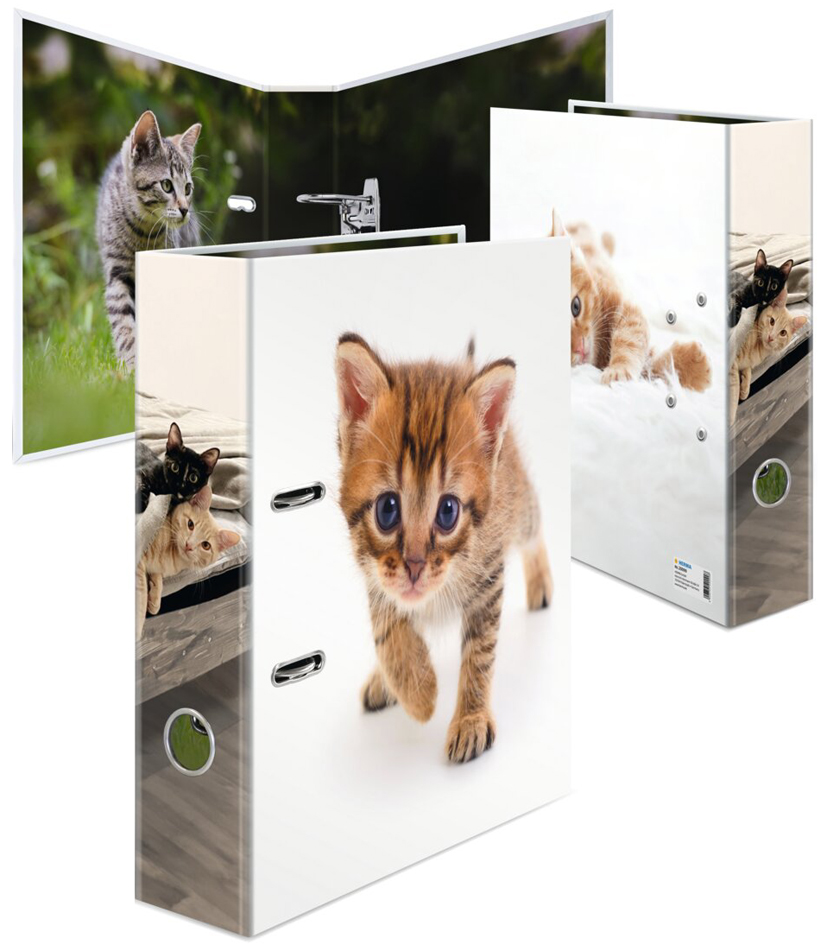Classeur à motif "Animaux préférés", chat