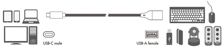 Adaptateurs USB-C