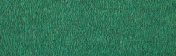 folia Papier crépon, (l)500 mm x (L)2,5 m, vert mousse