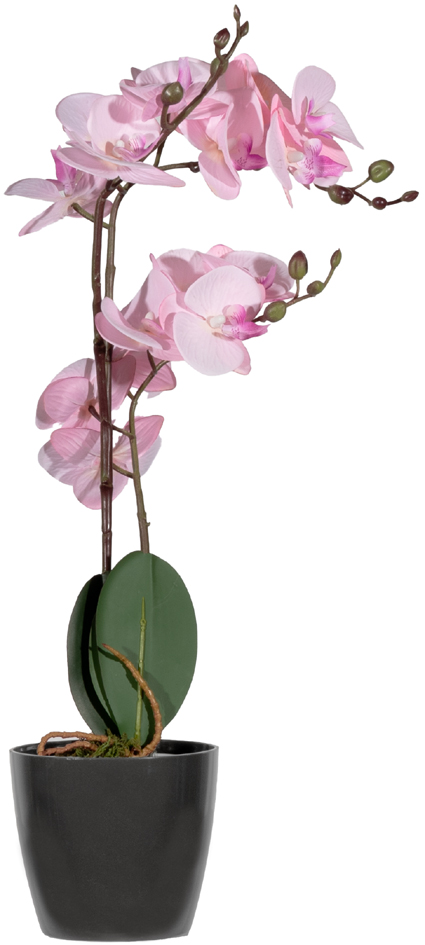Plantes artificielles