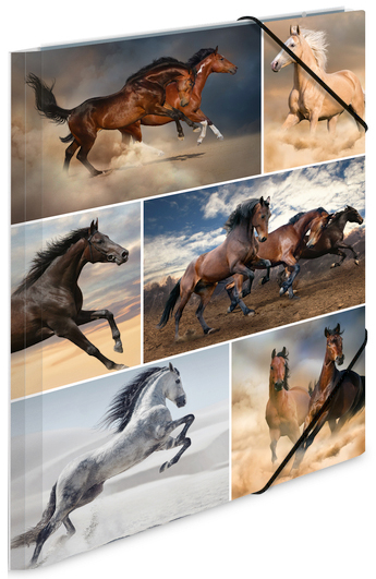 Chemise à élastiques "Chevaux"