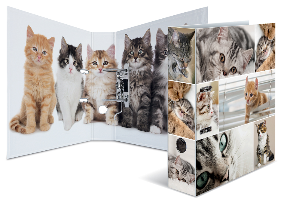 HERMA Classeur à levier à motifs 'Animals', A4, chats