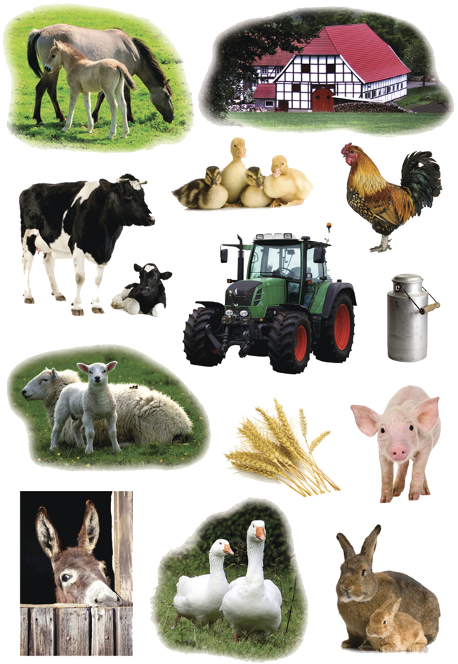 HERMA Autocollants DECOR 'Photo d'animaux de ferme'