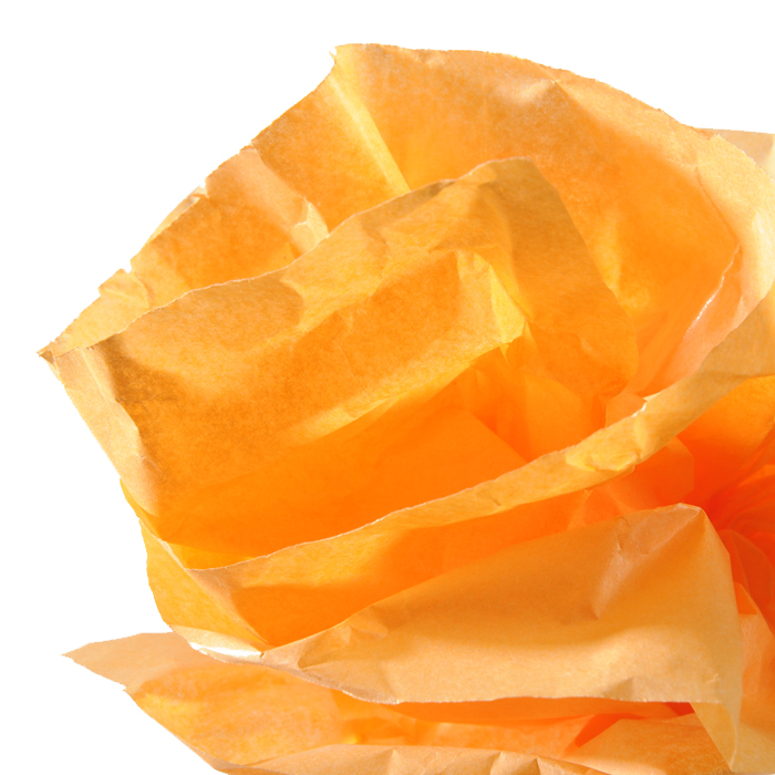 CANSON Papier de soie, 0,5 x 5,0 m, 20 g/m2, orange