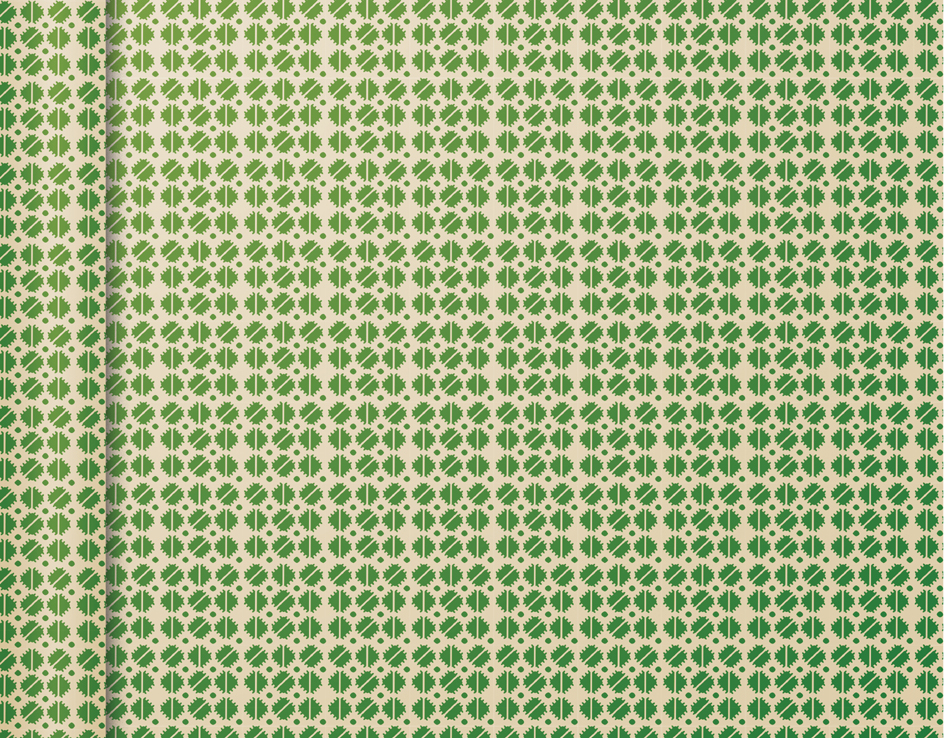 Clairefontaine Papier cadeau 'Tiny Rolls carrés verts'