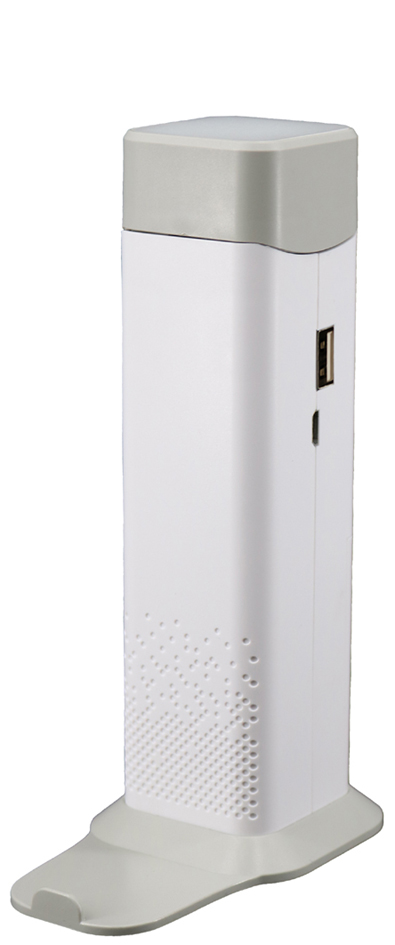 Lampe de bureau/poche à LED et batterie POCKET LIGHT