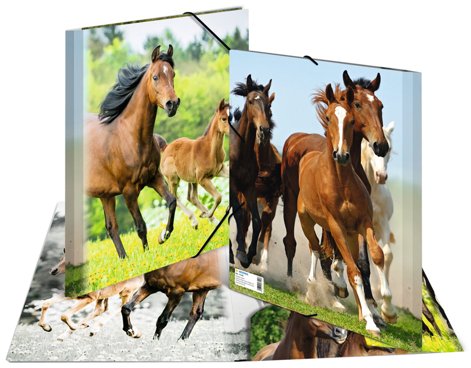 Chemise à élastiques "Chevaux"
