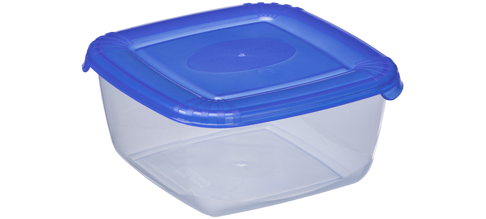 plast team Boîte de congélation Polar, 0,46 litre, bleu