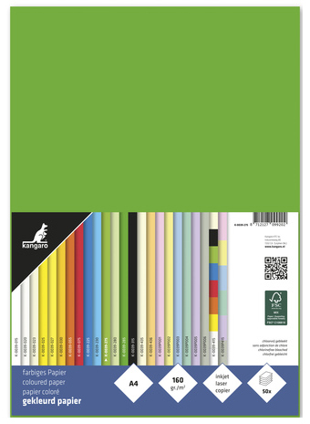 kangaro Papier multifonction, A4, 160 g/m2, vert