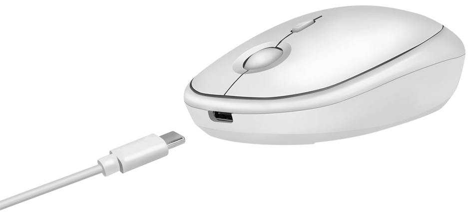 Souris