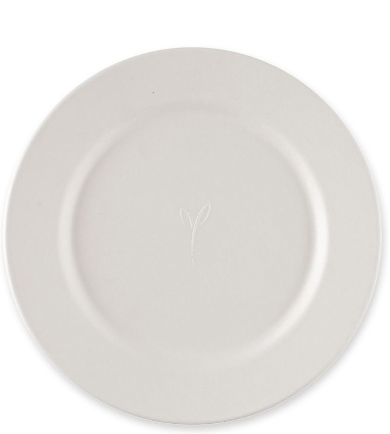 Assiettes jetables, canne à sucre