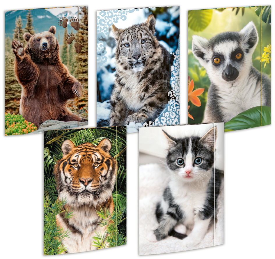 RNK Verlag Carton à dessin 'Animaux', A3 - assortiment