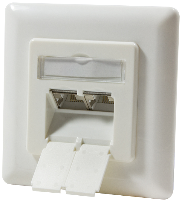 LogiLink Prise RJ45 double Cat.6A, 2 x RJ45, blanc pur