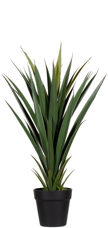 Plantes artificielles