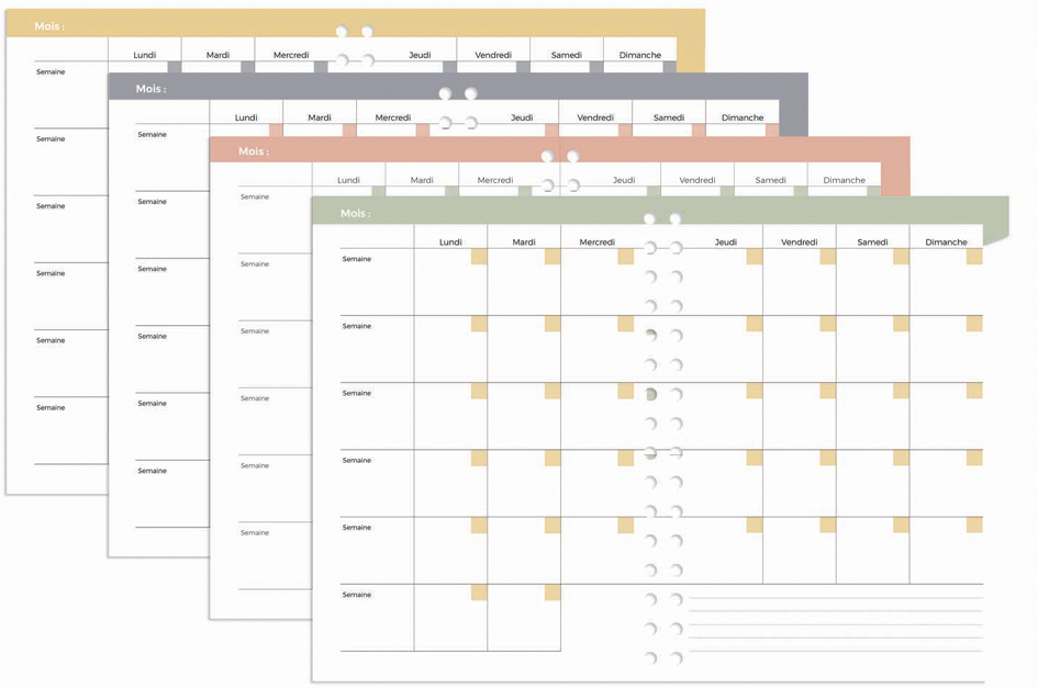 Vue détaillée: calendrier mensuel