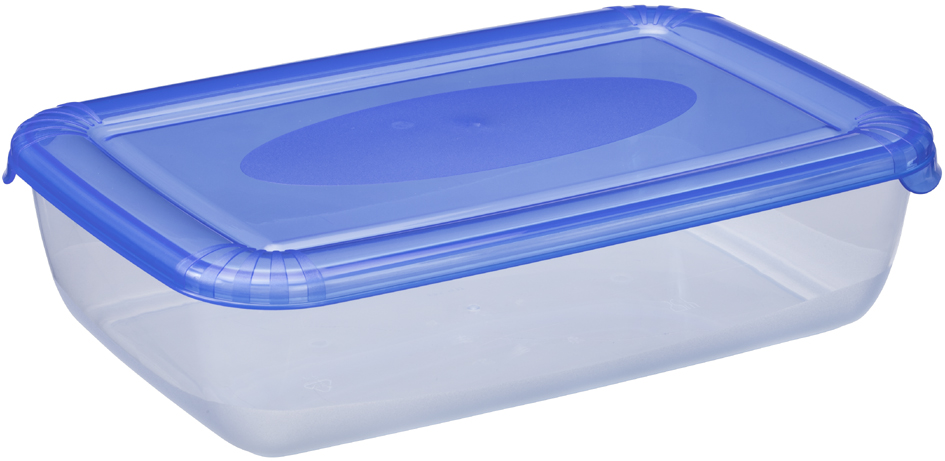 plast team Boîte de congélation Polar, 3,0 litres, bleu