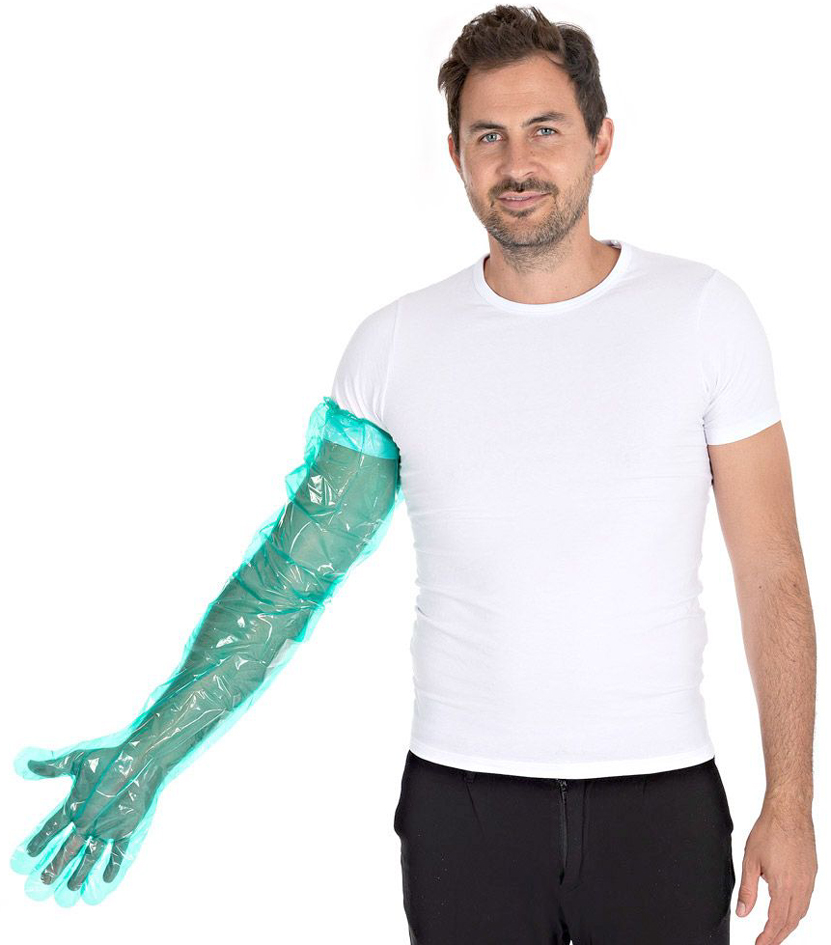 Visuel de référence : Gant LDPE SOFTLINE LONG PLUS