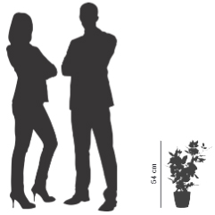 Plantes artificielles
