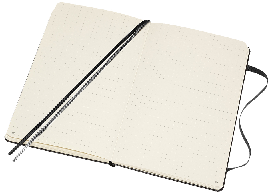 Carnets de notes, BuJo