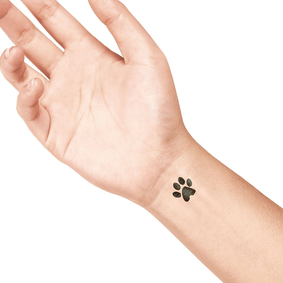 Visuel de référence : motif "patte de chat"