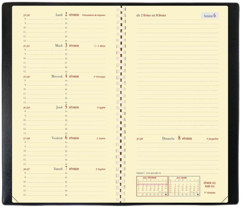 Agenda scolaire "Italsept S", 88 x 170 mm, grille