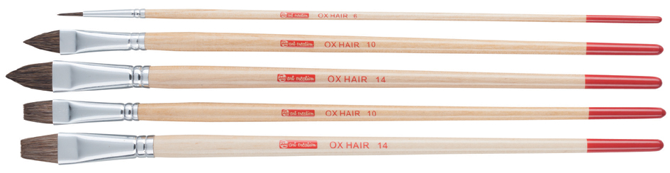 Aperçu du contenu