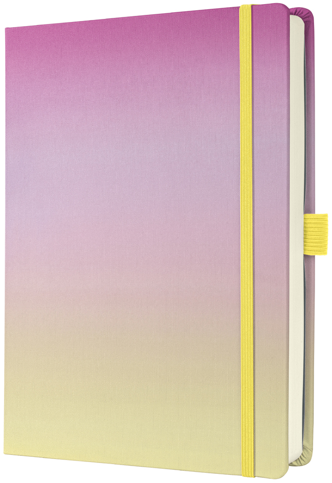Carnets de notes, BuJo