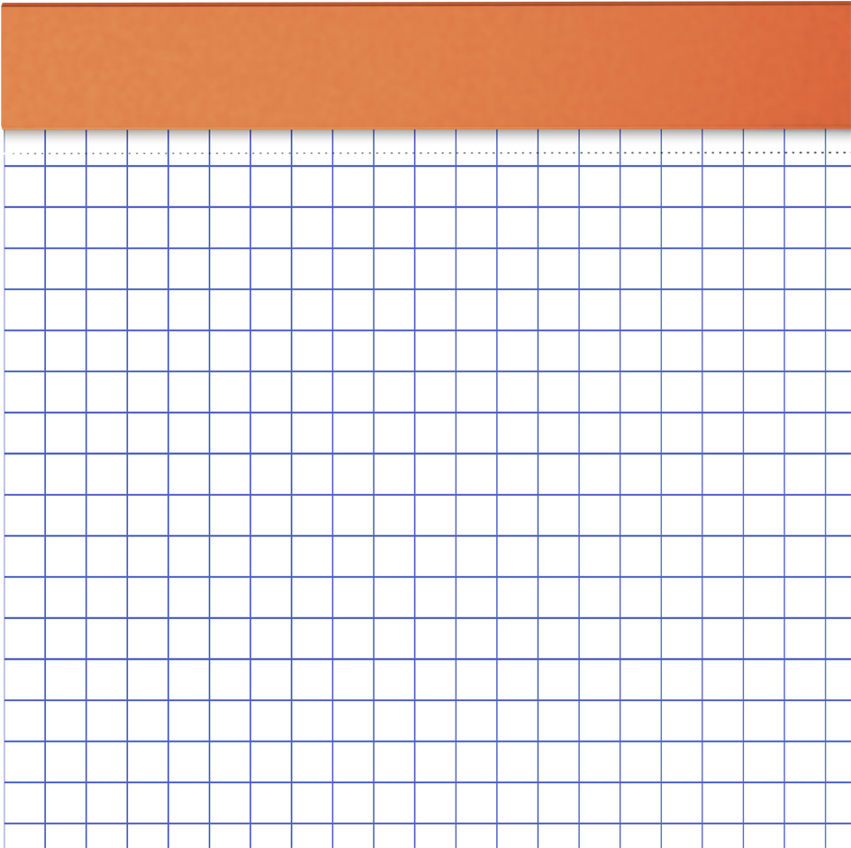 Oxford Bloc-notes, A4, quadrillé, 80 feuilles, gris
