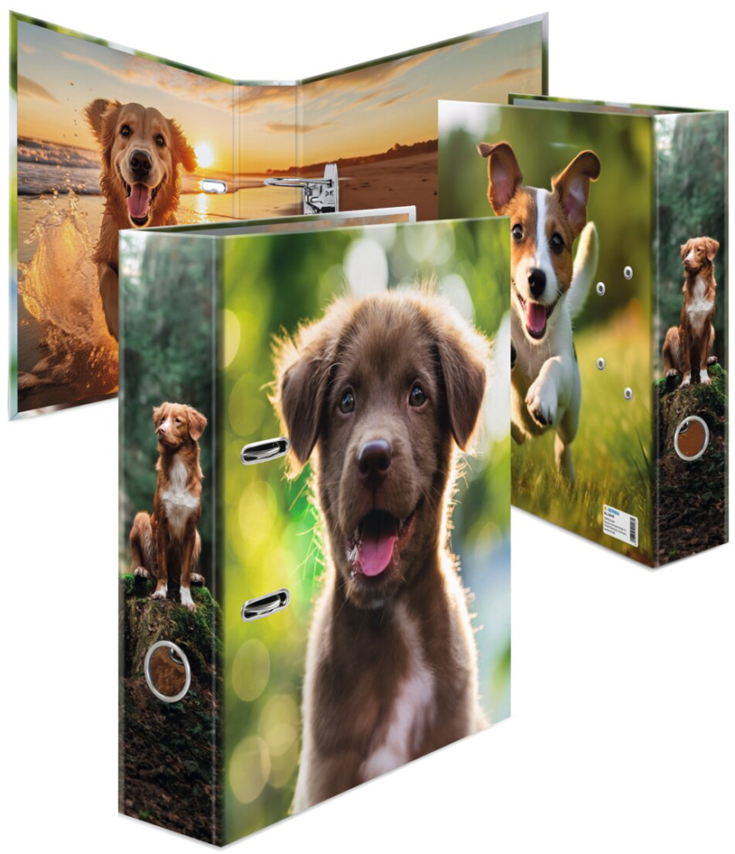 Classeur à motif "Animaux préférés", chien