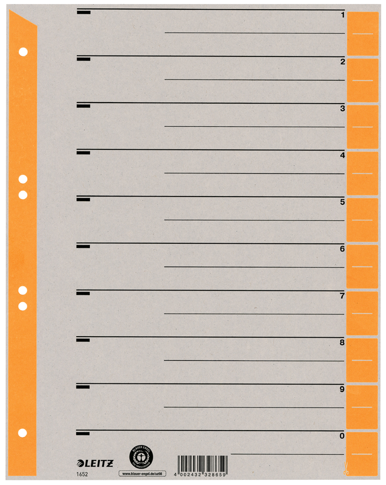 LEITZ Intercalaires, format A4 extra large, en carton solide