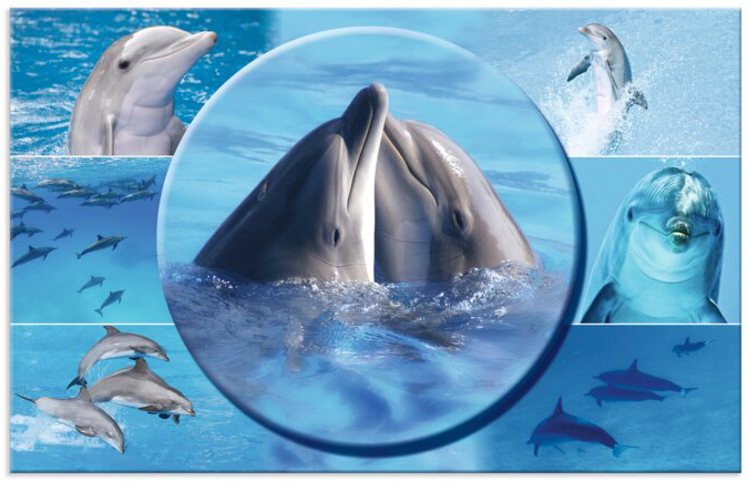 Motif: Dauphins, recto