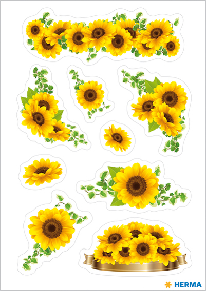 (1) Tournesols