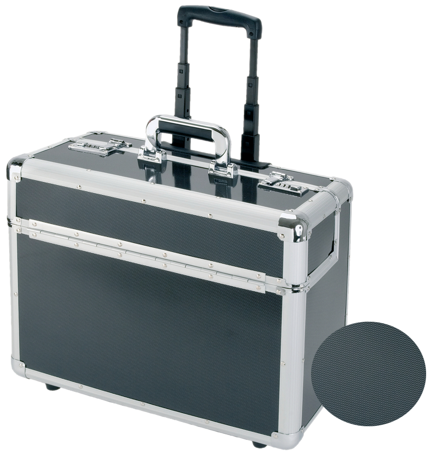 ALUMAXX Valise pour pilotes 'CARBON', aluminium