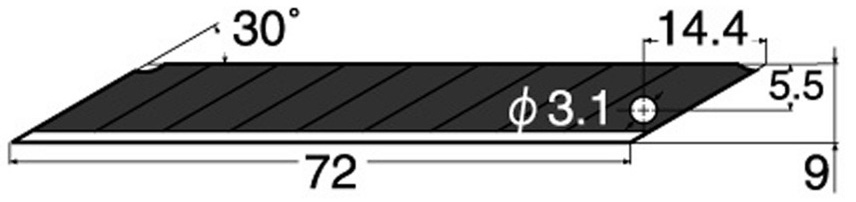 Vue détaillée lame de rechange BD-2000
