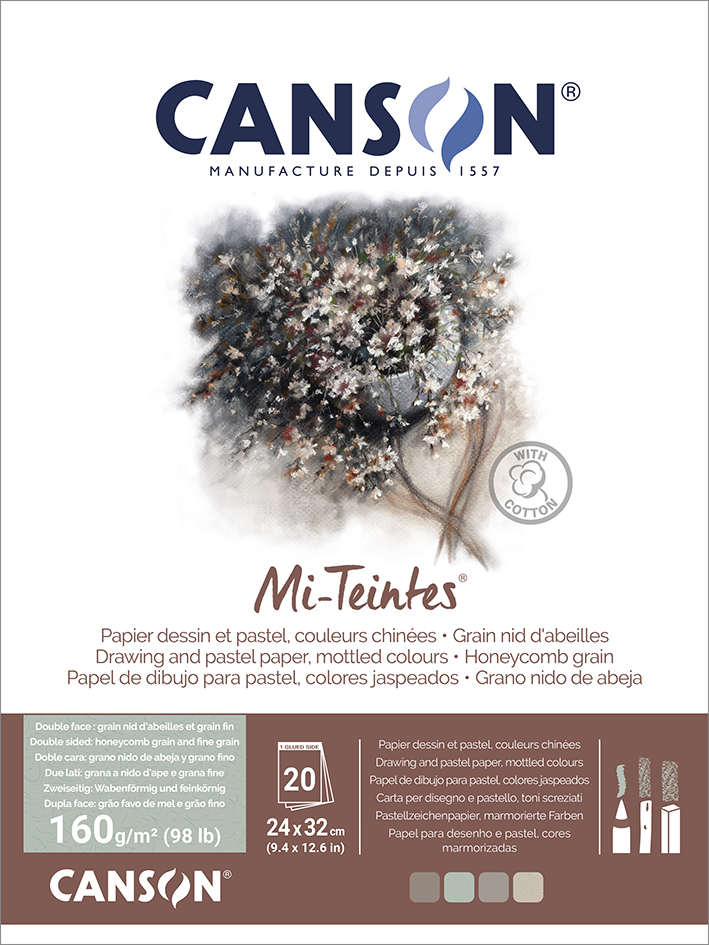 Visuel de rÃ©fÃ©rence: Papier beaux-arts Mi-Teintes, en bloc, couleurs chinÃ©es