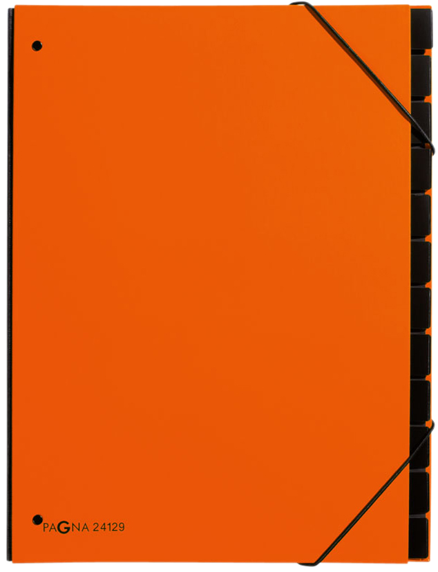 PAGNA Trieur Trend, A4, 10 compartiments, orange