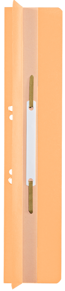 LEITZ Fixe-documents, 65 x 305 mm, carton manille, chamois,