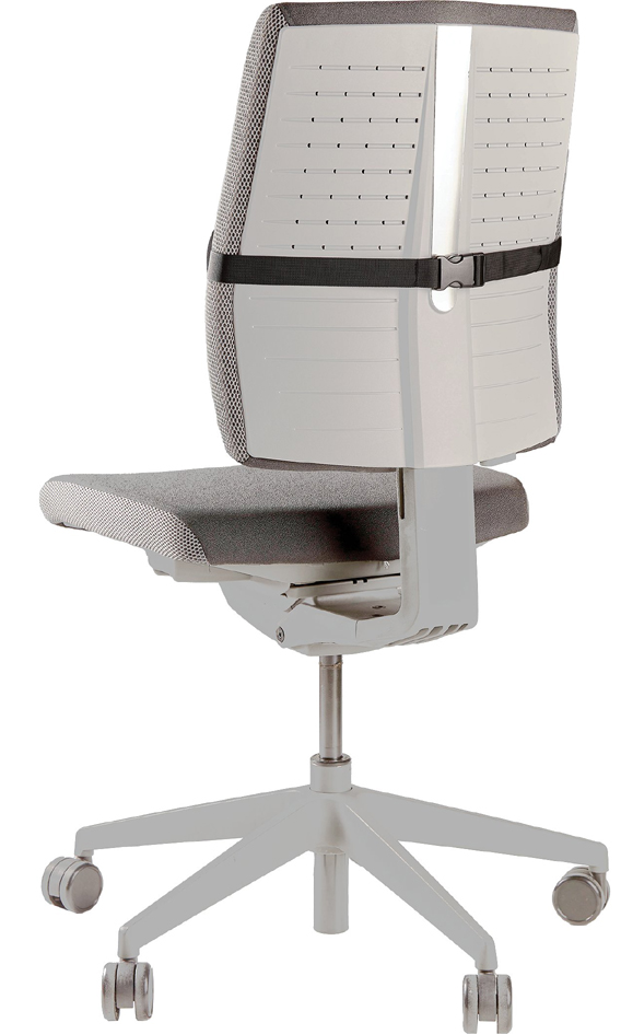 Support dorsal & ergonomie