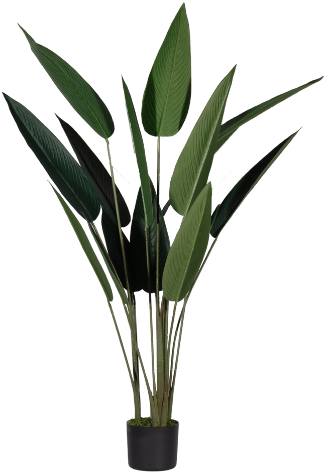 Plantes artificielles