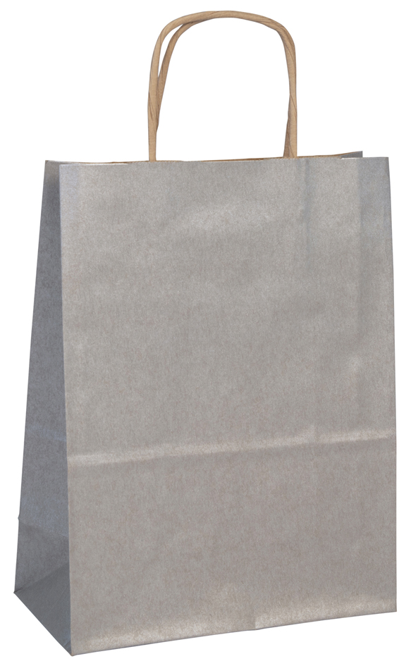 Visuel de référence : Sac en papier, argent