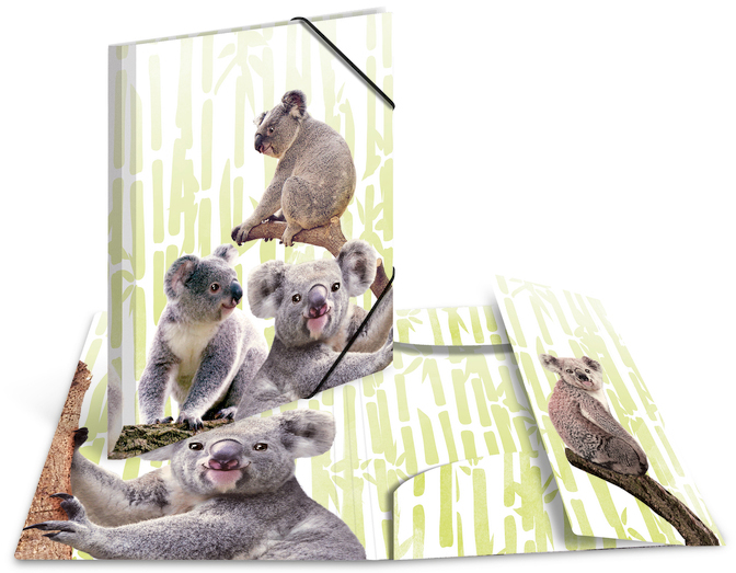 HERMA Chemise à élastiques Animaux exotiques, A3, koalas