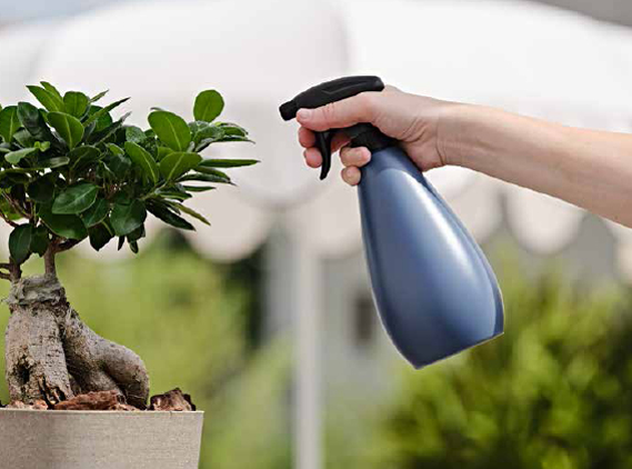 Vaporisateurs pour fleurs