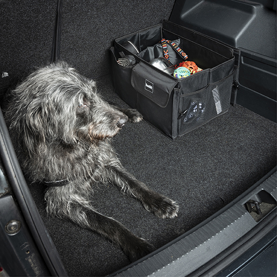 Organiseur de voiture