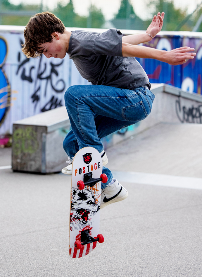 SCHILDKRÖT Skateboard 'Grinder 31' Wolf