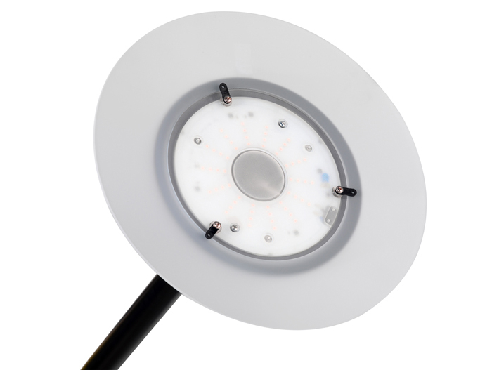 Détail: Tête de lampe