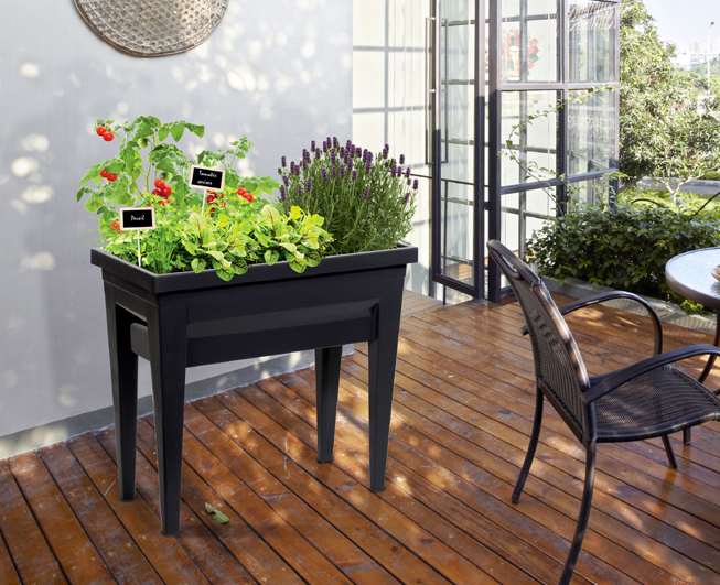 EDA Couvercle pour jardinière 'VEG&Table' City, transparent